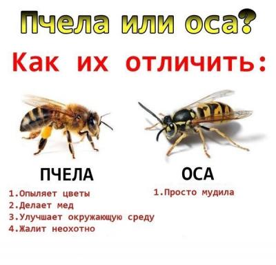 Прикрепленное изображение: mS4MzmFksyw.jpg